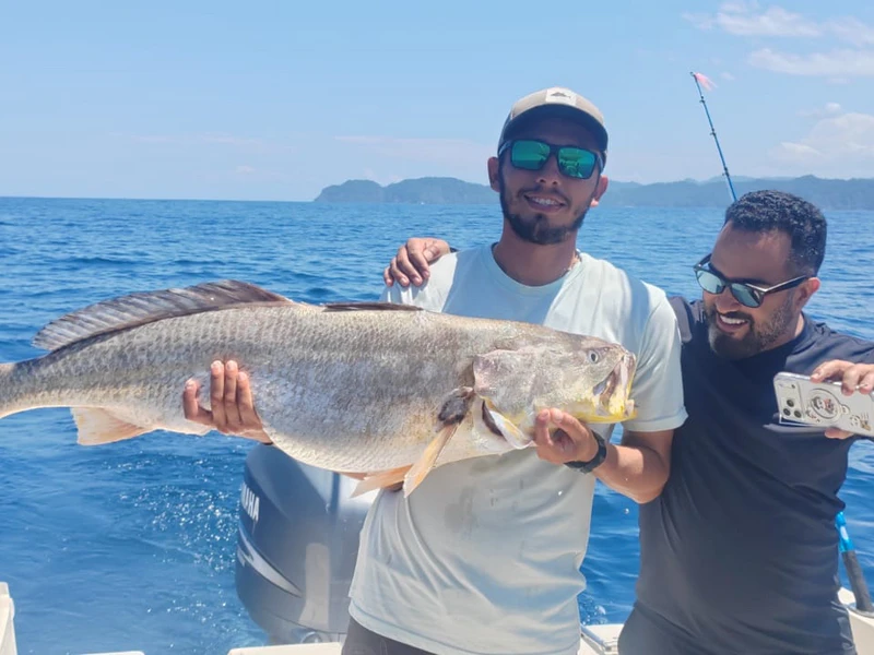 Sportfishing in Jaco Costa Rica